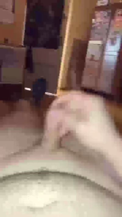 ChemPervSissy Live Image