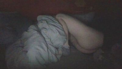 DomesticDuck Live Image