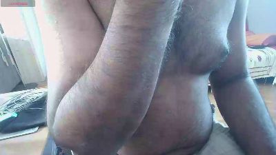 IndienTiger Live Image
