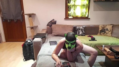 Rocky_thePuppy Live Image