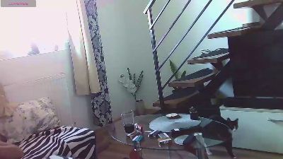 RyanStorm_ Live Image