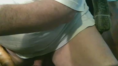 danbon Live Image