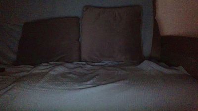 delfin1111 Live Image