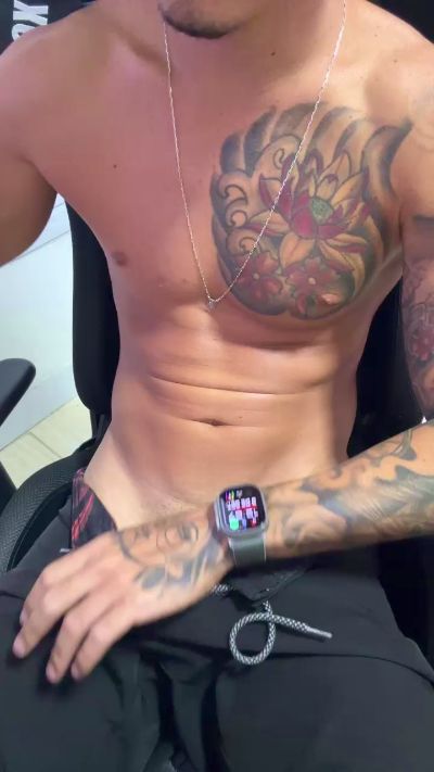 gato_dtado Live Image