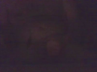 greencum Live Image