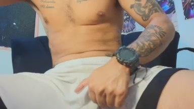 kevinfox24cm