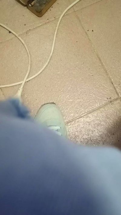 l34nfun Live Image