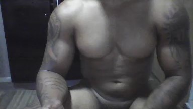 phillipp8 Live Image