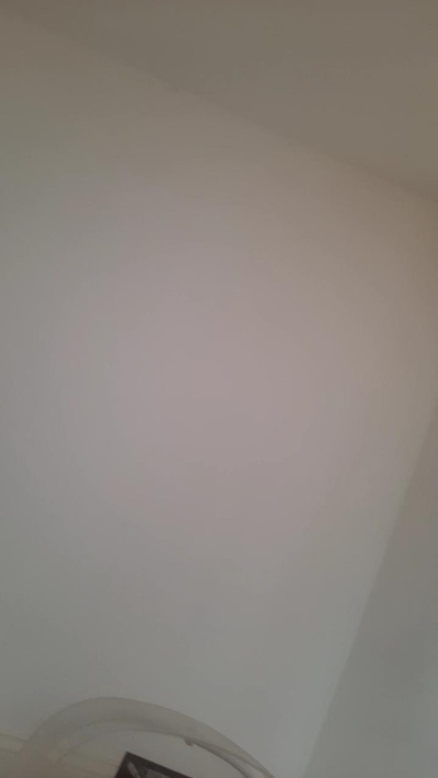 ulrichhot Live Image