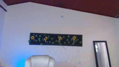 Gabriella_live live from United States