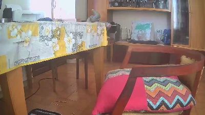 bisonef2 live from Italy