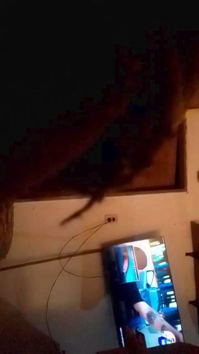 sativaindicaxxx live from Argentina