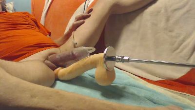 shxlpu live from Switzerland