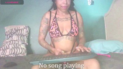 stella_clitella live from United States